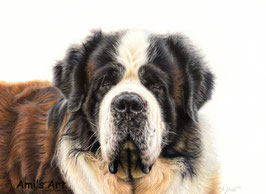 Gutschein für ein Tierportrait