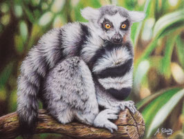 Lemur