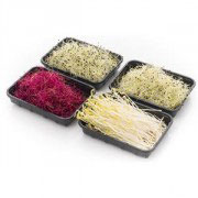 Bio Sprossen Glücksmischung, 145g