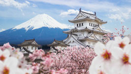 Un Voyage au Japon