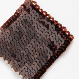 2-023) PAILLETTES （CHOCOLATE CLEAR)DP017③