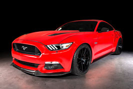 Mustang Carbon Fiber Accessories EcoBoost