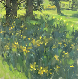 Daffodils in the shadows