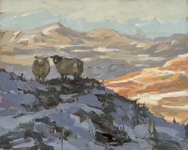 Snow on the moor