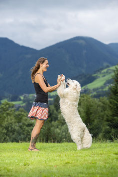 6 Monate Begleitung für ein harmonisches Mensch-Hund-Team