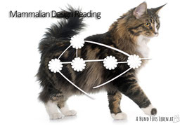 Mammalian Design Reading