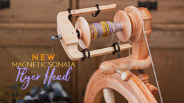 Magnetic Flyer Head für  Sonata