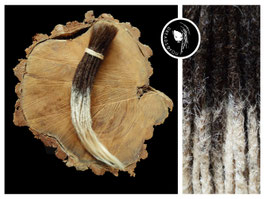 Dreadlock Extensions - Länge 40-45cm - Ombre 1 (braun zu lichtblond)