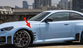 100% echt Carbon Front Schwellen Schwellereinsatz Sticker On für BMW M2 G87