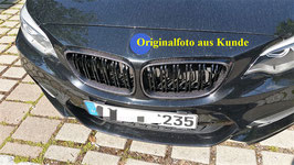 Für BMW F22 F23 F87 M235i M240i M2 vor LCI 2er echt Carbon Karbon Sport Racing Performance Ersatz Front Grill Nieren Kühlergrill Ziergitter Gitter