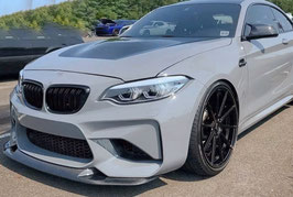Frontlippe echt Carbon Performance Sport gfk Lippe für BMW M2 Competition oder M2 F87 in GTS Style
