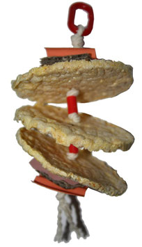 Tortilla