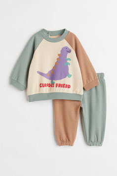 Modelo: 2209-14 Conjunto dinosaurio bicolor