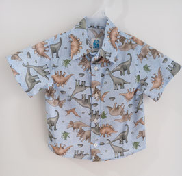 Modelo: CA-25-021 DINOS GRISES Y CAFES