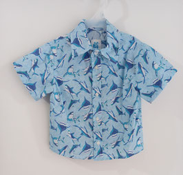 Modelo: CA-25-019 TIBURONES AZULES