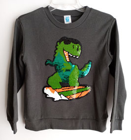 INT-240-433 Sudadera Dino Surf gris oscuro
