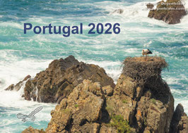 Calendar Portugal 2026