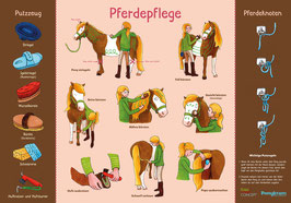 Lehrposter "Pferdepflege"