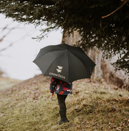 Regenschirm
