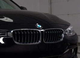 Kidneys Grill BMW F30 F31 2012-2018