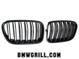 Kidneys Grill BMW X3 F25 2010-2014