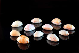 reflet de porcelaines-28