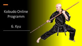 kostenloser Kobudo Online Kurs