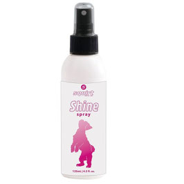 Shine Spray - no longer available
