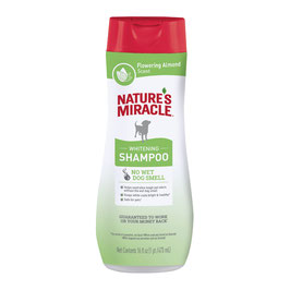 Whitening Shampoo with Odour control