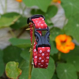 Red and flowers
