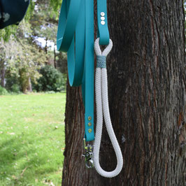 Size & Price standard leash