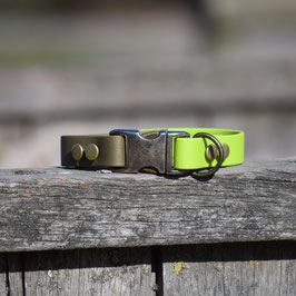 Olive & Bright Green