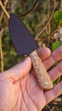 Couteau à pomme - Bouleau de Norvège