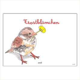 Trostblümchen - Kleiner Vogel