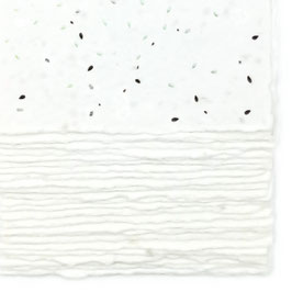 Biglietti | Partecipazioni | Inviti in Carta Fatta a Mano 13x18 cm | Semi di Basilico