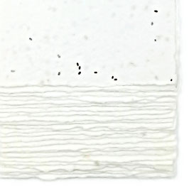 Biglietti | Partecipazioni | Inviti in Carta Fatta a Mano 13x18 cm | Semi di Lavanda