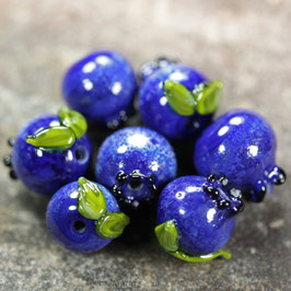 Set "Blaubeeren"