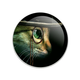 bouton pression image chat vert