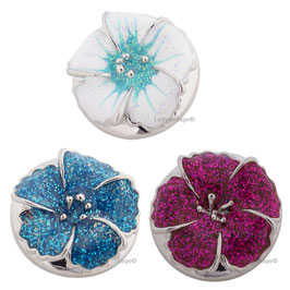Boutons Fleurs Hibiscus