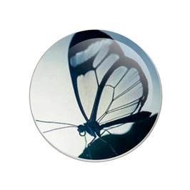 Bouton pression image papillon
