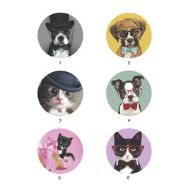 Collection bouton image Drôles d'animaux
