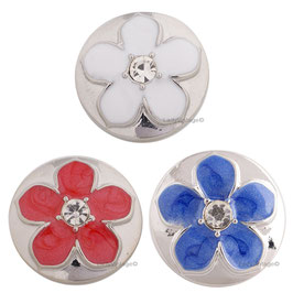 Boutons Fleurs Marguerite