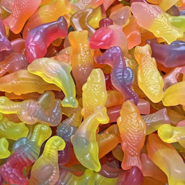 Rainbow Sea