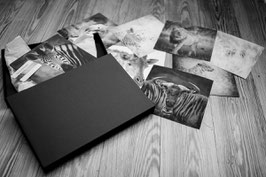 fine art wildlife geschenkbox 12 hahnemühle kunstdruck 20x20cm,200 g/m2 handsigniert