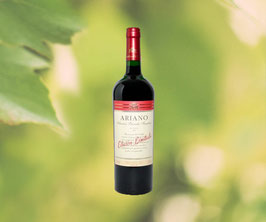 Ariano Selection Privada Familia – Syrah – Reserva – 2015