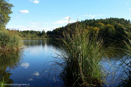 Saissersee 2