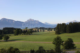Foggensee 1