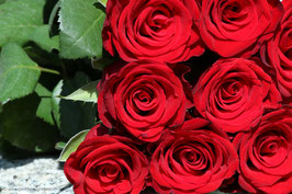 Rosenstrauss rot 3