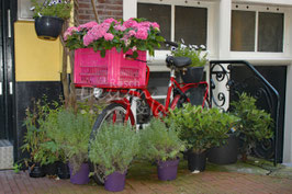 Fahrrad in Amsterdam 3