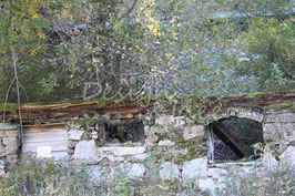 Ruine im Zauberwald